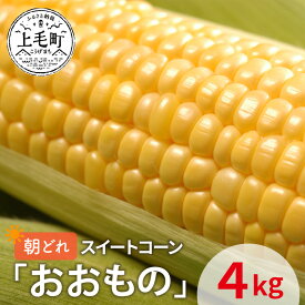 【ふるさと納税】先行受付　朝どれスイートコーン「おおもの」4kg【産地直送・数量限定】 スイートコーン コーン とうもろこし YF0203