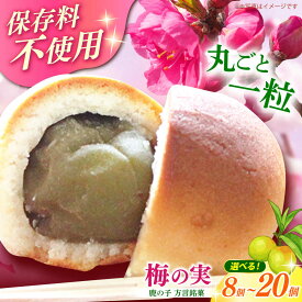 【ふるさと納税】【選べる個数】築上銘菓「 梅の実 」 8個 ～ 20個 《築上町》【有限会社 御菓子司 鹿の子】 [ABAC016] 和菓子 お菓子 菓子 おやつ 個包装 デザート スイーツ 焼き菓子 小分け 贈答 プレゼント 贈り物 詰め合わせ ギフト 手土産 老舗 手作り 梅 青梅 黄味餡