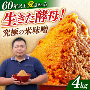 yӂ邳Ɣ[Łzyߘa7N10ȍ~z݂ ĖX 4kg sz㒬tyXz [ABAF003] 12000~