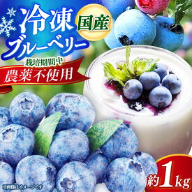 【ふるさと納税】国産 ブルーベリー 1kg 冷凍 《築上町》【(有)工房よしかわ】[ABAK001] 14000 14000円 国産 冷蔵 果物 春 旬 朝摘み 朝採り 新鮮 産地直送 フレッシュ フルーツ 栽培期間中 農薬不使用 無農薬 お取り寄せ 送料無料 九州 ブルーベリー 果物 人気 おすすめ