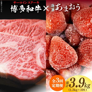 yӂ邳Ɣ[ŁzyS3ցzy󂠂za T[CXe[L  ܂ Zbg1.3kgsz㒬tyMEAT PLUSz [ABBP103] 70000~