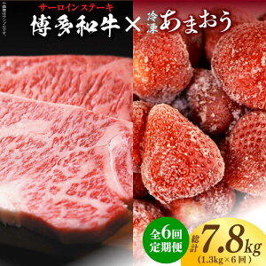 yӂ邳Ɣ[ŁzyS6ցzy󂠂za T[CXe[L  ܂ Zbg1.3kgsz㒬tyMEAT PLUSz [ABBP104] 140000~
