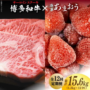 yӂ邳Ɣ[ŁzyS12ցzy󂠂za T[CXe[L  ܂ Zbg1.3kgsz㒬tyMEAT PLUSz [ABBP105] 280000~