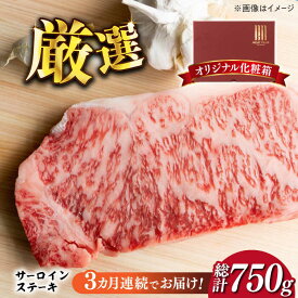 【ふるさと納税】【全3回定期便】【厳選部位使用！】博多和牛サーロインステーキ250g×1枚《築上町》【株式会社MEAT PLUS】33000円 [ABBP045]