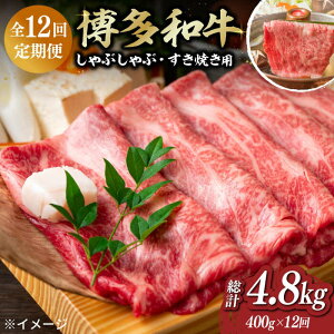yӂ邳Ɣ[ŁzyIʎgpIzyIׂ邨͂񐔁za A4ȏ Ԃ Ă XCX 400gsz㒬tyMEAT PLUSz [ABBP005]