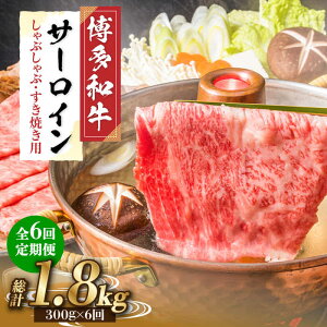yӂ邳Ɣ[ŁzyS6ցzyIʁIza T[C Ԃ Ăp 300gsz㒬tyMEAT PLUSz [ABBP083] 56000~