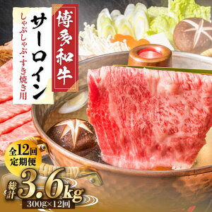 yӂ邳Ɣ[ŁzyS12ցzyIʁIza T[C Ԃ Ăp 300gsz㒬tyMEAT PLUSz [ABBP084] 112000~