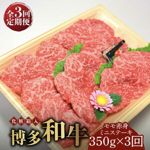 yӂ邳Ɣ[ŁzyS3ցzyϔzaA5`A4 Ԑg ~jXe[L350g \[XEӞtsz㒬tyЃ}܁z [ABCJ105] 54000~