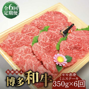 yӂ邳Ɣ[ŁzyS6ցzyϔzaA5`A4 Ԑg ~jXe[L350g \[XEӞtsz㒬tyЃ}܁z [ABCJ106] 108000~