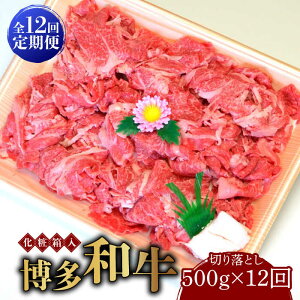 yӂ邳Ɣ[ŁzyS12ցzyϔzaA5`A4 ؂藎Ƃ 500gsz㒬tyЃ}܁z [ABCJ113] 175000~