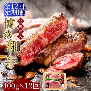 yӂ邳Ɣ[ŁzyS12ցzyϔzaA5`A4 [XXe[L 200g×2iv400gj \[XEӞtsz㒬tyЃ}܁z [ABCJ098] 360000~