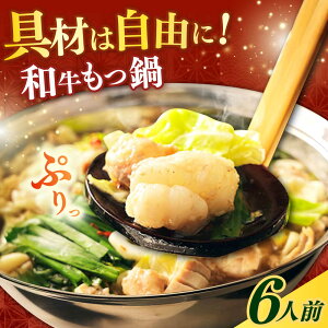 yӂ邳Ɣ[ŁzyvczaZbg 6lOsz㒬tyvcXz  Ȃ[ABCL173]