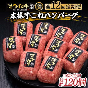yӂ邳Ɣ[Łz_a100^ {i 育 no[O 6 / 10 (Iׂ/)sz㒬tyvcXz[ABCL039]  y no[O   Ⓚ Ă #BBQ