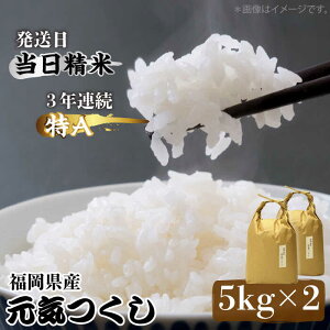yӂ邳Ɣ[Łzߘa6NYyAz]̂āuCv5kg×2 [10kg] []sz㒬tyЃxltBXz [ABDF030]    ͂  R 37000~