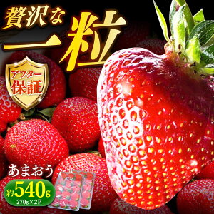 yӂ邳Ɣ[Łzy\tzy1{菇z_ƒ ̂VNy܂z270g×2pbNsz㒬tyH&Futuresz [ABDG001] 11000~