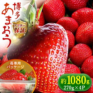 yӂ邳Ɣ[Łzy\tzy1{菇z_ƒ ̂VNy܂z270g×4pbNsz㒬tyH&Futuresz [ABDG002] 15000~