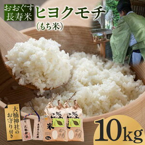 yӂ邳Ɣ[Łzys\tzāuqN`iājv 10kg y2025N11ȍ~z [ABDP006]