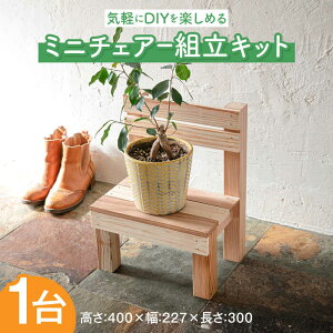 yӂ邳Ɣ[Łz~j`FA[gLbgW300D227H400[ABDW004]