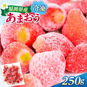 yӂ邳Ɣ[ŁzY Ⓚ܂ 250gi250g×1jz㒬yЖؑHiz[ABEB024]  C`S  ʕ t[c[ABEB024]