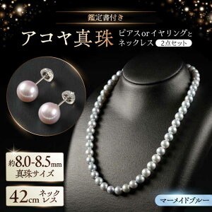 yӂ邳Ɣ[ŁzyIׂzyӕʏtzyX}[Chu[z8.0-8.5mm AR^lbNXƃsAXorCO 2_Zbg / ^ p[ ANZT[ / ꌧ [41AAAA012]