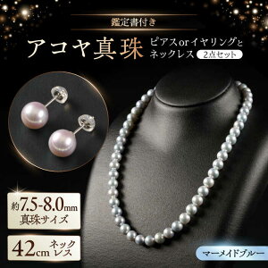 yӂ邳Ɣ[ŁzyIׂzyӕʏtzyX}[Chu[z7.5-8.0mm AR^lbNXƃsAXorCO 2_Zbg / ^ p[ ANZT[ / ꌧ [41AAAA013]