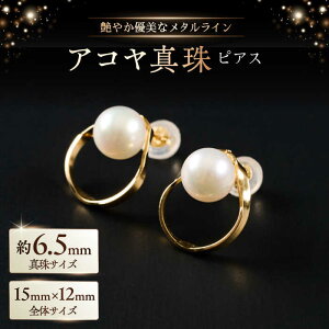 yӂ邳Ɣ[Łz₩Dȃ^CZ 6.5mm AR^sAXiP[Xtj / ^ p[ ANZT[ / ꌧ [41AAAA019]