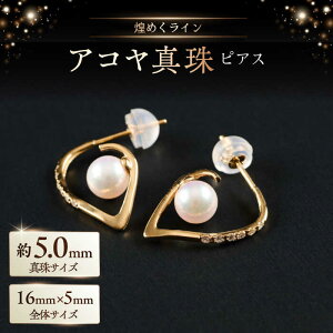 yӂ邳Ɣ[Łz߂C5.0mm AR^sAXiP[Xtj / ^ p[ ANZT[ / ꌧ [41AAAA021]