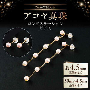 yӂ邳Ɣ[Łz2wayGKgɗhI4.5mm AR^Xe[VOsAXiP[Xtj / ^ p[ ANZT[ / ꌧ [41AAAA023]