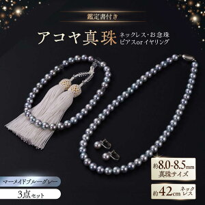 yӂ邳Ɣ[ŁzyIׂzy^ȊwӕʏtzyX}[Chu[O[nz8-8.5mm lbNXAOAsAXorCO 3_Zbg / ^ p[ ANZT[ / ꌧ [