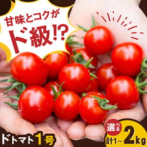 yӂ邳Ɣ[Łzys\zyIׂeʁzlC̃hg}g1 1kg-2kg / g}g Ƃ܂ T_  / ꌧ / iY[41AAAC001]