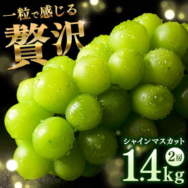 【ふるさと納税】【2026年発送分 先行予約】シャインマスカット 計1.4kg（2房入り） / シャインマスカット ぶどう フルーツ 果物 / 佐賀県 / 石橋果樹園[41AAAJ001]