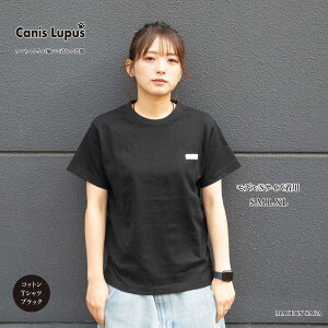 yӂ邳Ɣ[ŁzyƌvԗizRbgTVc ubNiS-XLTCYj / TVc  jZbNX Vv / ꌧ / Canis Lupus[41AAAN001]