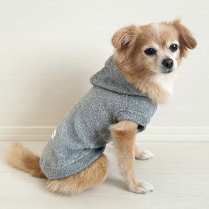 yӂ邳Ɣ[Łz^Inp[J[ ۃO[ ipjiSS/S/MM/MTCYj / hbOEFA ybgpi p   ^In pC / ꌧ / Canis Lupus[41AAAN010]
