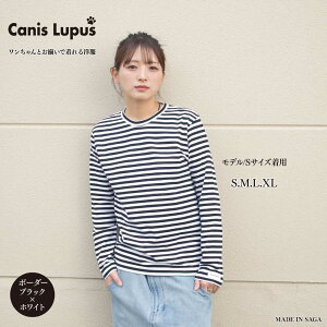 yӂ邳Ɣ[Łzyƌvԗiz{[_[OTVc zCg×ubNiS-XLj / T  jZbNX {[_[ Vv / ꌧ / Canis Lupus[41AAAN011]