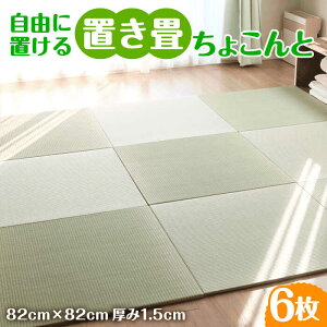 yӂ邳Ɣ[Łzt[Ouu傱Ɓv6Zbg / VR VRf tA  \ tA}bg Q}bg t[Op a / ꌧ / WTiH[