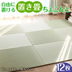 yӂ邳Ɣ[Łzt[Ouu傱Ɓv12Zbg / VR VRf tA  \ tA}bg Q}bg t[Op a / ꌧ / WTiH[