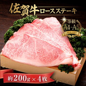 yӂ邳Ɣ[Łzꋍ[XXe[L v800gi200g×4j /  / ꌧ / yًGy [41AABE025]