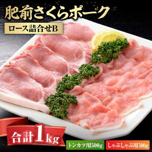 yӂ邳Ɣ[ŁzO|[N[XlB / ؓ / ꌧ / yًGy [41AABE039]