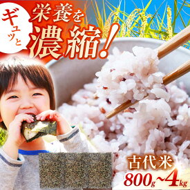 【ふるさと納税】佐賀県産古代米3色MIX 800g-4kg / 健康志向 赤米 緑米 黒米 / 佐賀県 / 旬菜舎さと山 [41AABM007]