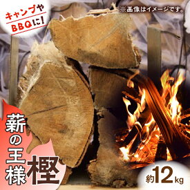 【ふるさと納税】キャンプやBBQに！薪の王様 「樫」×2締め / 薪 まき たきぎ アウトドア キャンプ 暖炉 薪ストーブ / 佐賀県 / 旬菜舎さと山 [41AABM017]