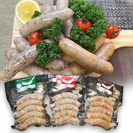 【ふるさと納税】生トン（豚生ウインナー）人気3種類セット（パセリ味・サラミ味・しゅうゆ味）計15本（各40g×5本入） / 佐賀県 / 旬菜舎さと山 [41AABM018]