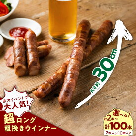 【ふるさと納税】【選べる内容量】GASBO（ガスボー）2-100本（1袋2本入or10本入）/ ウインナー 粗挽き ロング / 佐賀県 / 山代ガス株式会社 旬菜舎さと山 [41AABM033]