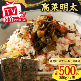【ふるさと納税】高菜めんたい味（250g×2袋） / 高菜 めんたい 明太子 かんたん調理 / 佐賀県 / 東京竹八株式会社 [41AADH007]