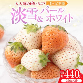【ふるさと納税】【2026年発送分 先行予約】【全3回定期便】白いちご2種（淡雪・パールホワイト）/ いちご イチゴ 苺 フルーツ 果物 定期便 / 佐賀県ふるさと納税 [41AAZZ001]