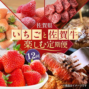 yӂ邳Ɣ[Łzy2026N s\zyS12ցzꌧ̐Y҂Iƍꋍyޒ /   Xe[L no[O ؂藎Ƃ ꋍ / ꌧӂ