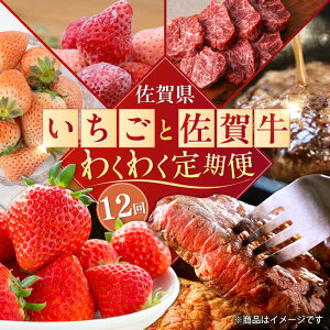yӂ邳Ɣ[Łzy2026N s\zyS12ցzꌧ̐Y҂Iƍꋍ̂킭킭 /   Xe[L no[O ؂藎Ƃ ꋍ / ꌧ