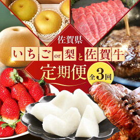 【ふるさと納税】【全3回定期便】【選べる！】いちごor梨と佐賀牛定期便 / ステーキ 焼肉 ハンバーグ フルーツ / 佐賀県ふるさと納税 [41AAZZ011]