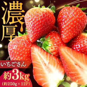 yӂ邳Ɣ[ŁzyIׂeʁzy2026N s\z 500g-3kg /  C`S  t[c ʕ / ꌧ / tbg [41ABAA001]