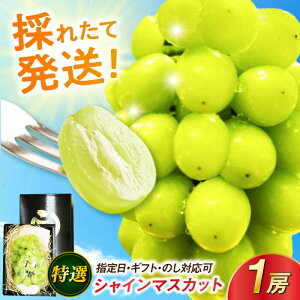 �y�ӂ邳�Ɣ[�Łz�y2026�N���� ��s�\��z�y�������p/���l�t�z���I�V���C���}�X�J�b�g 1�[ / �V���C���}�X�J�b�g �Ԃǂ� �t���[�c �ʕ� ���� / ���ꌧ / ���t���b�g������� [41ABAA016]