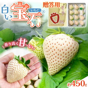 yӂ邳Ɣ[Łzy2026N2` s\zyϔz΁ipj450g /    t[c ʕ p / ꌧ / 蓇_ [41ABAB005]